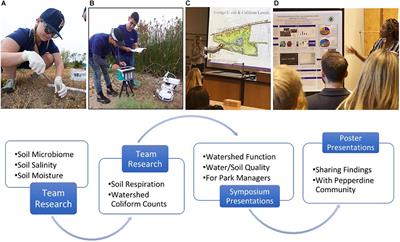 Analysis of Microbial Water Contamination, Soil Microbial Community Structure, and Soil Respiration in a Collaborative First-Year Students as Scholars Program (SAS)